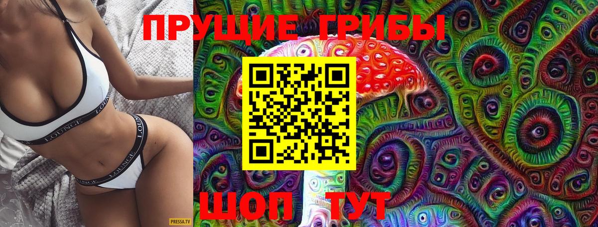 Галлюциногенные грибы GOLDEN TEACHER  Вход с VPN  Владимир 
